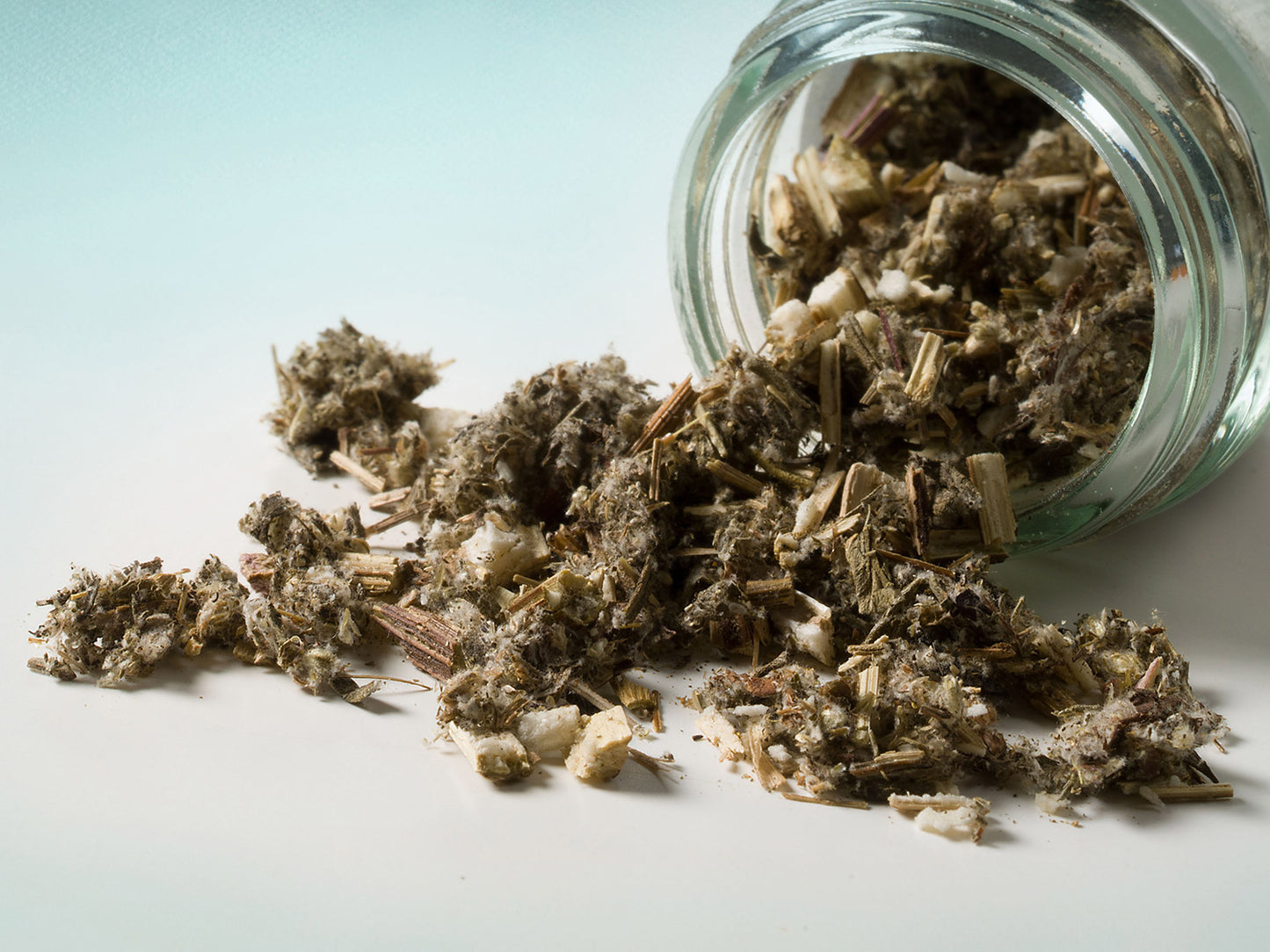 Pelyněk římský / Artemisia Absinthium 20g