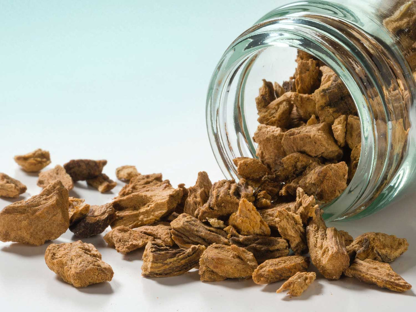 Kořen hořce sekaný 30g