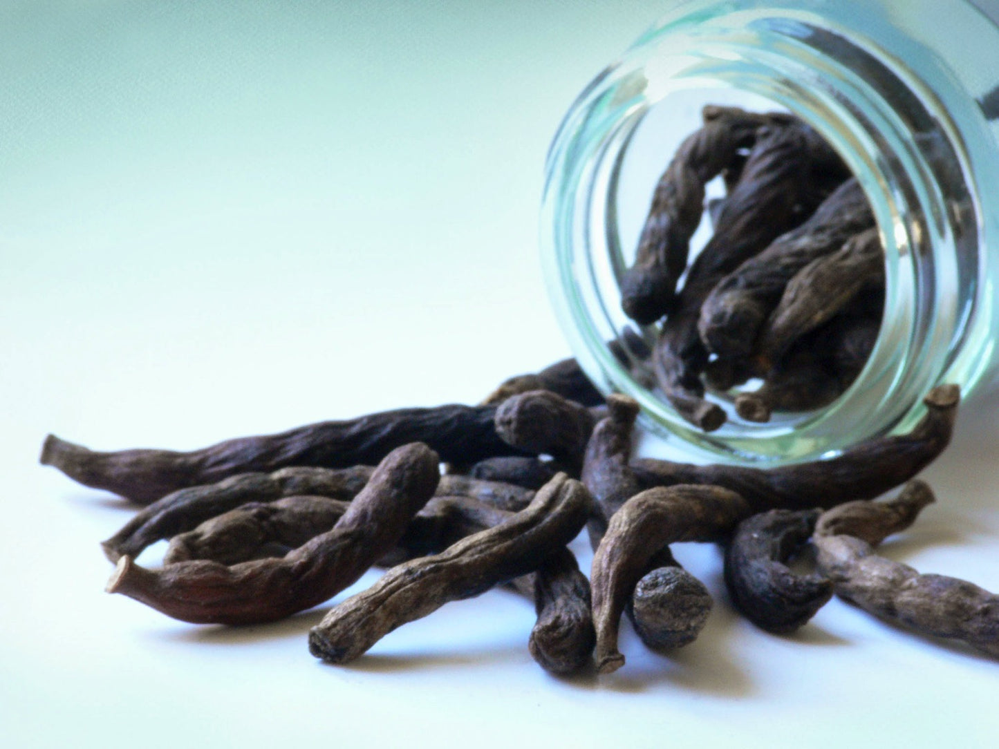 Pepř Selim dlouhý 40g