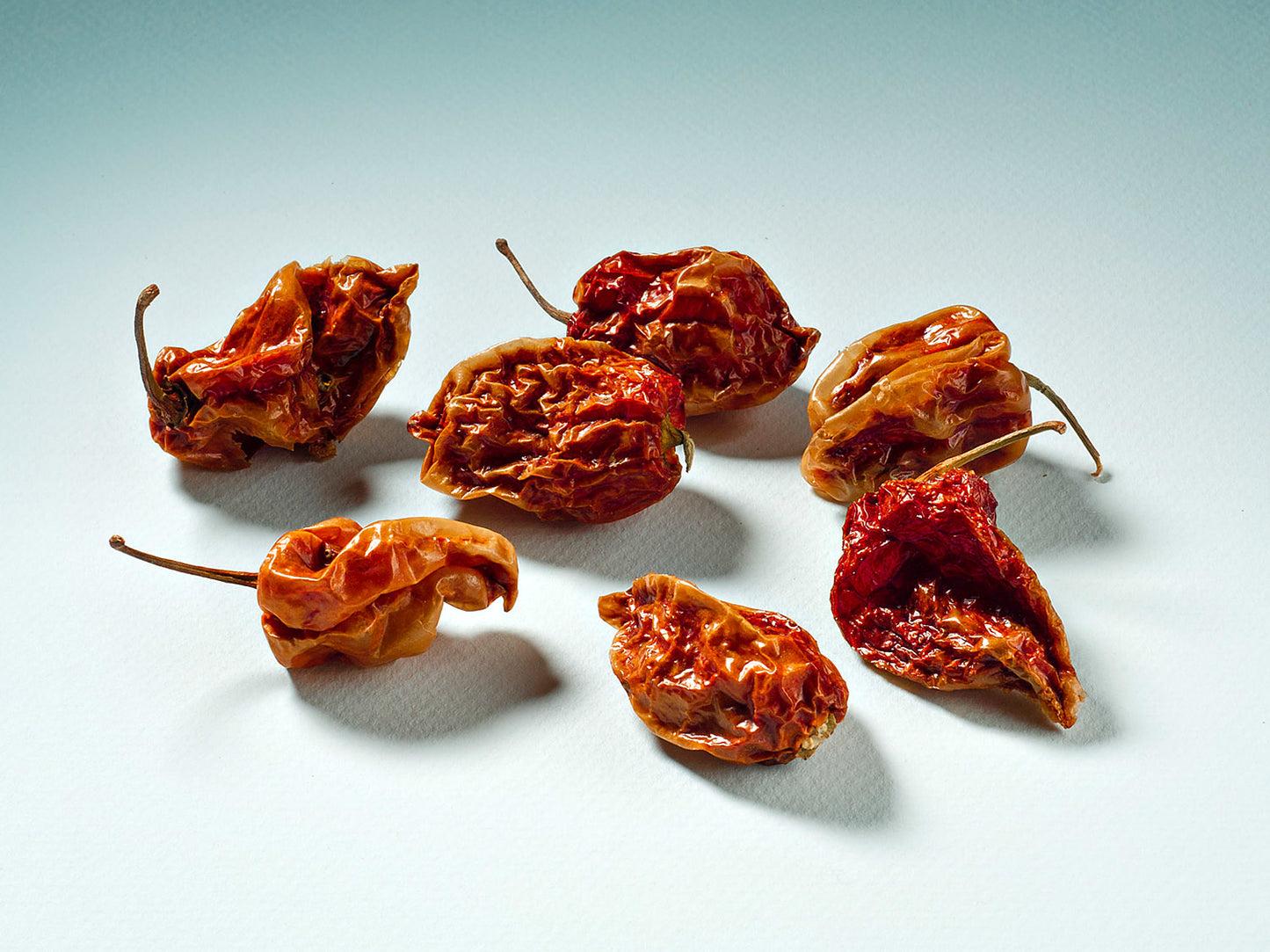 Celá červená Savina Habanero chilli paprička 10g