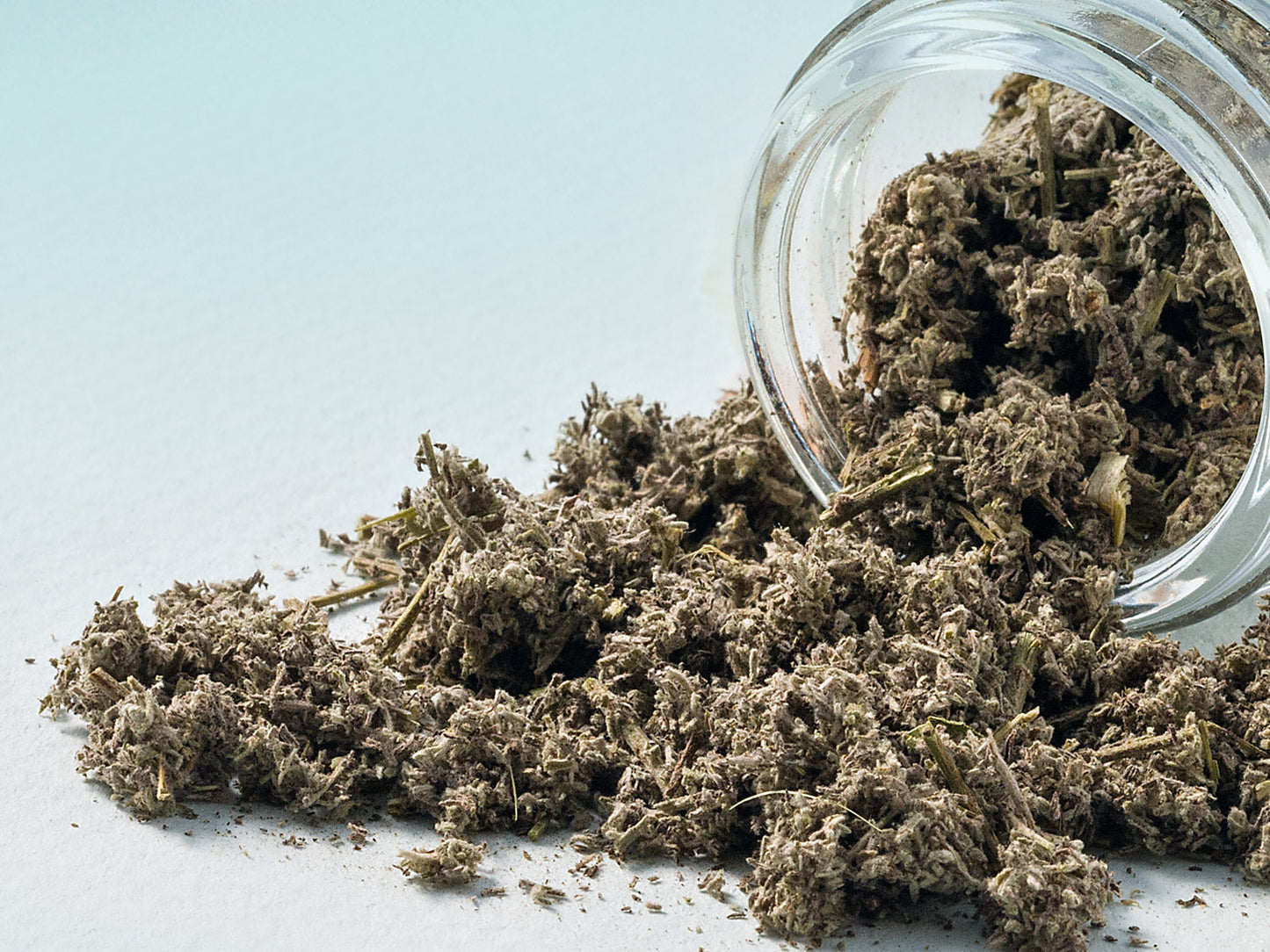 Gentile Absinthe 20g